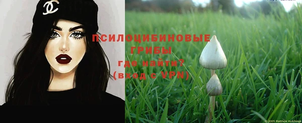 меф Ельня