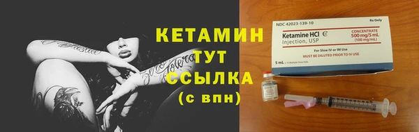 меф Ельня