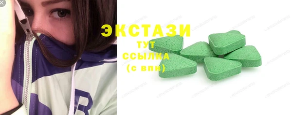 меф Ельня