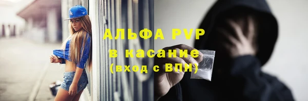 меф Ельня