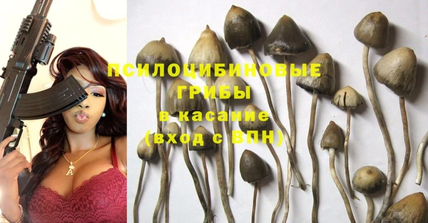 эйфоретик Елизово