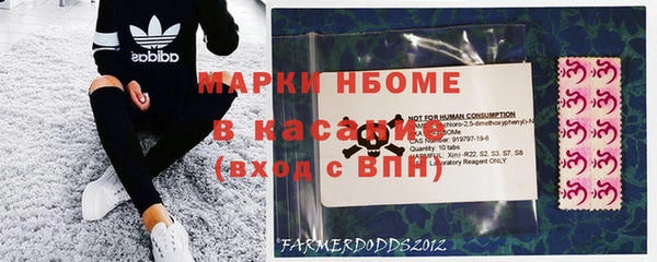 меф Ельня