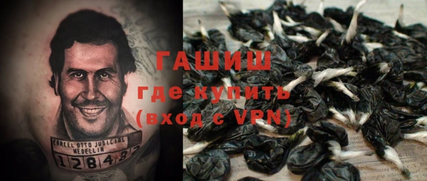 меф Ельня