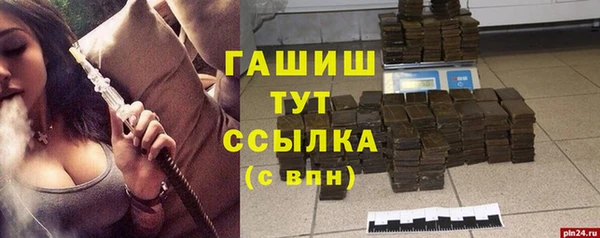меф Ельня